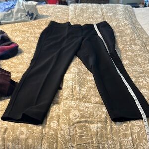 Women's loft Black Pants